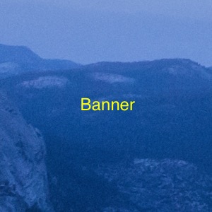 Banner X