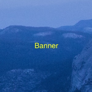 Banner X